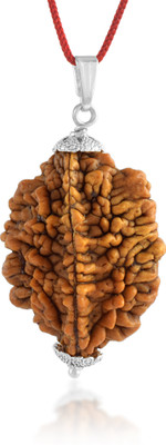 Admier 2 Mukhi Nepali Rudraksha Pendant TWO Faced Rudraksha Natural & Certified Sterling Silver Alloy Pendant