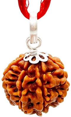 Divine rudras Pure 7 Mukhi Nepali Rudraksha Original seven faced rudraksha with beautness Wood Pendant