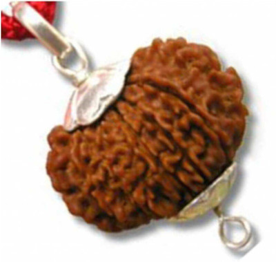 DIVINE SOUVENIRS Natural Fourteen Face /14 Mukhi Rudraksha With JGL Lab Certified Wood