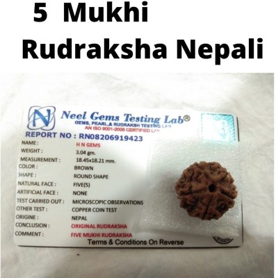 HAPPY CREATION FIVE 5 MUKHI RUDRAKSHA (CERTIFIED AND NEPAL ORIGIN) Wood Pendant