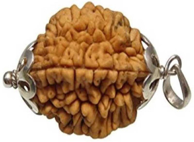 Jewelswonder 2 faced rudraksha pendentSilver Wood Beads Wood