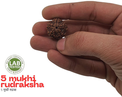 Khushal ENTERPRISE 5 Mukhi Rudraksha Five Faced Charr Nepali Rudraksh Bead Original & Certified Beads Wood Pendant Set