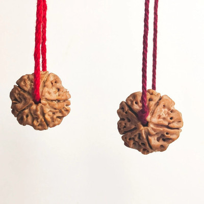 DIVINE SOUVENIRS 2pcs 5 Mukhi Rudraksha Nepali in Red Thread, Wood
