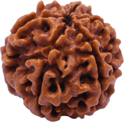 BHAGYA G Nepali 5 Mukhi Rudraksha with Certificate for Men Women-Improve Self Confidence Wood