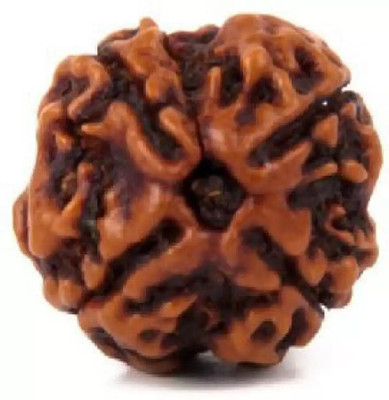 JangraBro 4 Mukhi Rudraksha Four-Faced Rudraksha with detailed Puja & wearing instructions Wood