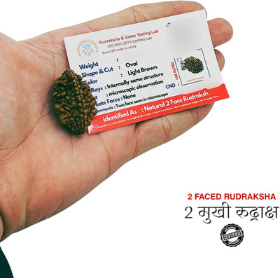 Green Ellegent 2 Mukhi Rudraksha Pendant/Pandent Nepali Rudraksha with Lab Certified two Mukhi Wood Pendant Set