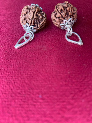 Rudraksham 6 Mukhi Nepali Rudraksha Pendant With Certificate Of Authenticity (Set of 2) Silver Brass Locket Set