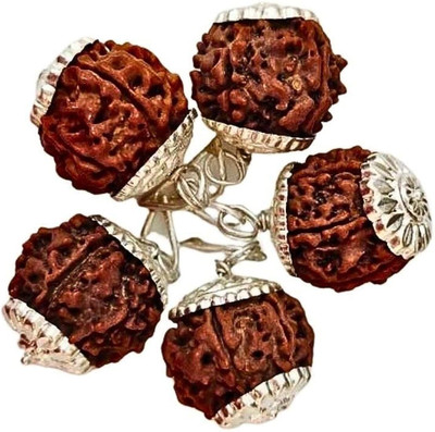 Rudraksham 6 Mukhi 10 Pcs Rudraksha Pendant Locket At Wholesale Rate ( Set of 10) Wood Pendant Set