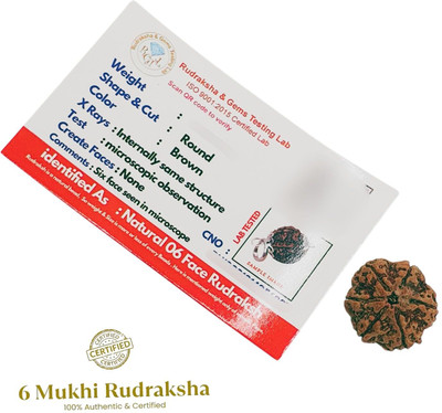 Khushal ENTERPRISE Premium Six Mukhi Rudraksha / Original Nepali 6 Mukhi Rudraksha Beads Wood Pendant Set