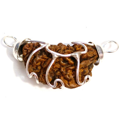 Mahadev Traders Silver Capped 1 Mukhi Rudraksha Wood