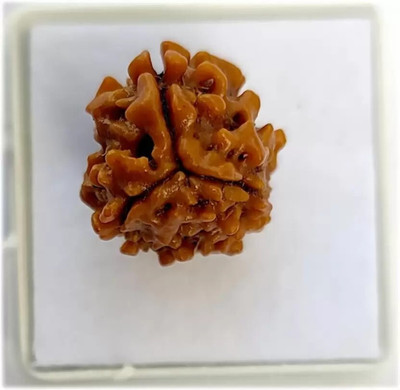 Mittal Gems 3 Face Rudraksha Beads Beads Wood Locket