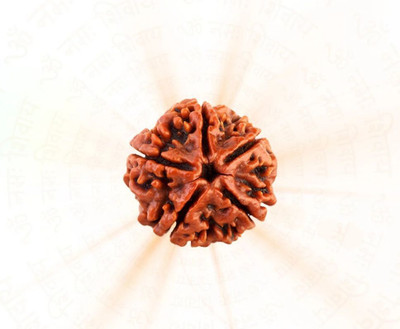 thesoulastro 5 mukhi nepali rudraksh Wood Pendant