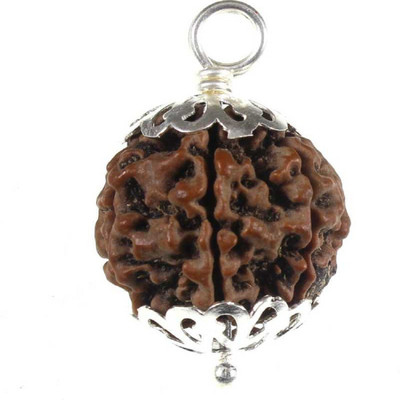 house of common 4 mukhi rudraksha Wood