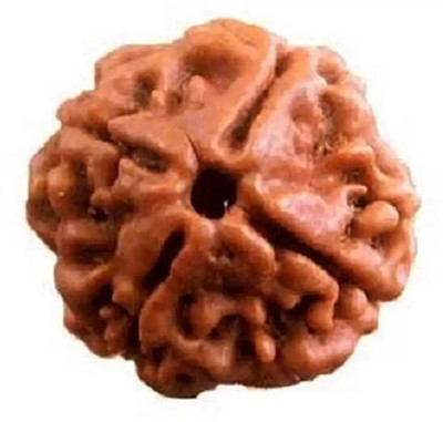kripaurban Four Mukhi Rudraksha / Original Nepali 4 Mukhi Rudraksha / Natural 4 faced Brass, Wood