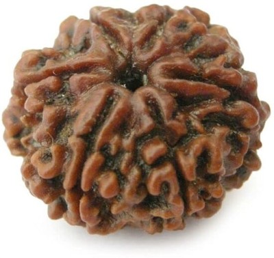 Beautum 6 MUKHI ORIGINAL RUDRAKSHA NEPALI ORIGINAL Wood Pendant