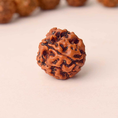 Satvik Indonesian 4 Mukhi Natural Rudraksha – Certified Four Face Bead Beads Wood Pendant