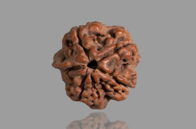 Jewelswonder Natural 5 Mukhi Rudraksha Five Face Rudraksha Metal Cap Wood Pendant