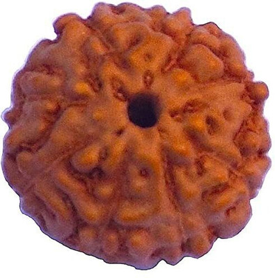 Jewelswonder 8 Face Indonesian Rudraksha 8 Mukhi Indonesian Rudraksha/Eight Faced Indonesian Wood Pendant