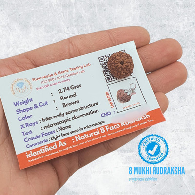 BHAKTI BRITE MELA 8 Mukhi Java Indonesian Rudraksha Beads Wood Pendant Set