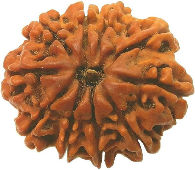house of common Natural Ten Face / 10 Mukhi Rudraksha Wood Pendant