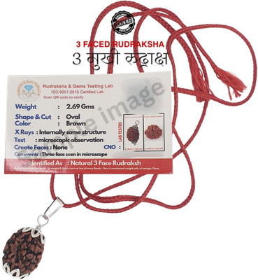Astro Shop Imitation 3 Mukhi Rudraksha three face (Natural Brown) Mantra Siddha Rare teenmukhi Silver Beads Brass Locket