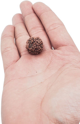 LOTUS Store 4 Mukhi Rudraksha Pendant In Silver For Dhanu Meen Rashi People Beads Wood Pendant