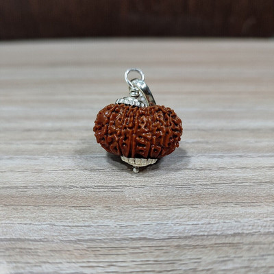 DIVINE SOUVENIRS 14 mukhi Rudraksha Silver Plated Pendant | Natural & certified Rhodium Wood Pendant