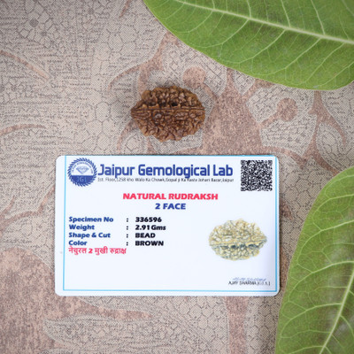 urbanzebra Certified Nepali 2 Mukhi Rudrksha with Certificate Do mukhi Rudraksha Oval Shape Beads Wood Locket Set