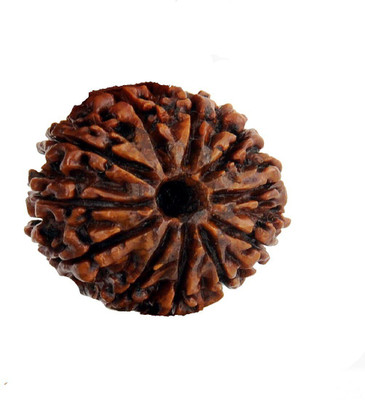Jewelswonder 11 mukhi rudraksha Wood