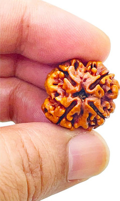 Beautum ORIGINAL(NEPALI) 4 MUKHI RUDRAKSHA Wood Pendant
