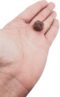 Human Collections Beads Wood Locket Set