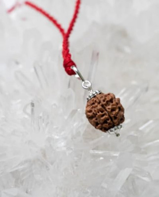 A1 yashvriddhi Original 3 Mukhi Rudraksha Three Face Rudraksha Metal Cap Bead Wood Pendant