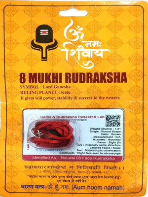 HARIDWARR 8 Mukhi Nepali Rudraksha Original Certified Eight Face Rudraksha Beads Pendant Wood Locket