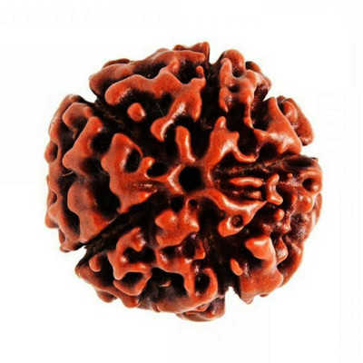 Jewelswonder 5 mukhi Rudraksha Pendent Wood Beads Wood