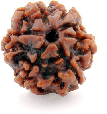 DIVINE SOUVENIRS Seven Faced / 7 Mukhi Nepali Rudraksha Beads Wood Pendant