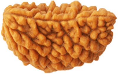 DIVINE SOUVENIRS 1 Mukhi Natural Rudraksh Rameshvaram (Lab Certified) Silk Dori Pendant