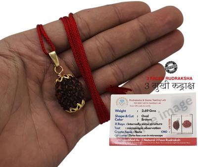 Nirvana Mukhi Natural certified 3 Mukhi Rudraksha with detailed & Puja wearing instructions Gold-plated Beads Brass Locket Set