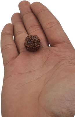 Nirvana Mukhi Beads Wood Locket