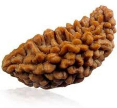 DIVINE SOUVENIRS 1 Mukhi Rudraksha beads Natural and Original Shiv Shakti Beads Astrological Purp Beads Wood