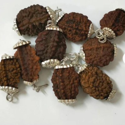 Rudraksham 2 Mukhi Original Nepali Rudraksha Pendant ( Set Of 30 ) Brass Pendant Set