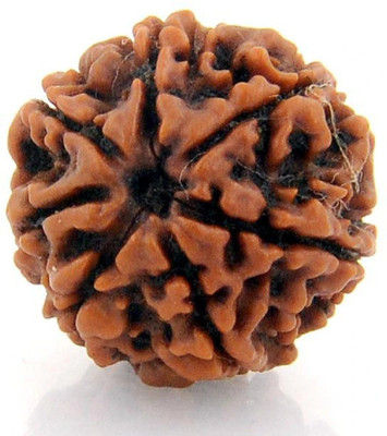 Shivtantra 7 Mukhi Rudraks For Meditation And Prayer, Chakra Balancing, Spiritual Growth Wood Pendant