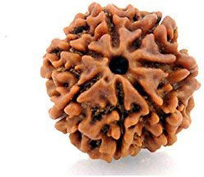 HAPPY CREATION 7 Mukhi Rudraksha/Seven Faced Nepali Wood Pendant