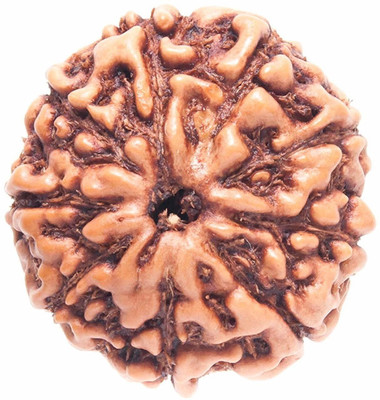 house of common 9 Mukhi Rudraksha HRC CERTIFIED Wood Pendant