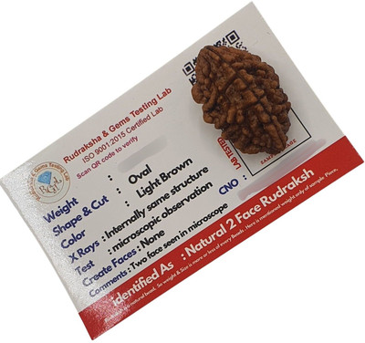 A1 yashvriddhi 2 Mukhi Nepali Rudraksha Original IGL | Original Seller Nepali Rudraksha | Beads Wood Pendant