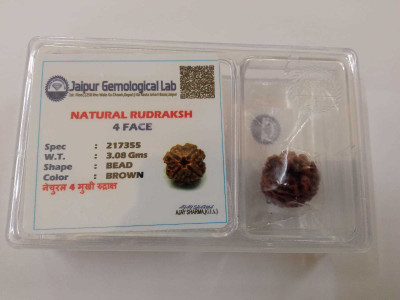 Divine Rudra and Astro Vastu 4 Mukhi Rudraksha Wood Pendant