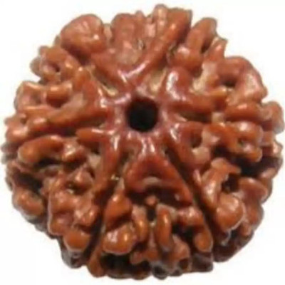Fine Creation Natural Six Mukhi (6 face) Rudraksha Men & Women Wood Pendant