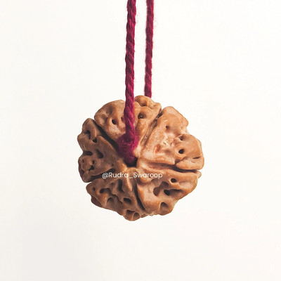 Divine rudras 5 Mukhi Rudraksha Nepali with Red Thread, Wood Locket