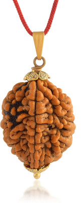 Admier 2 Mukhi Nepali Rudraksha Pendant two Faced Rudraksha Natural & Certified Gold-plated Alloy Pendant