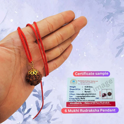 JagatguruShop Certified 6 Mukhi Rudraksha / six Faced Rudraksha Original Rudraksha Locket Gold-plated Beads Brass, Wood Locket