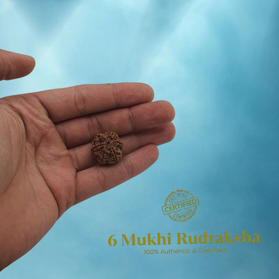 First Shakti NATURAL 6 MUKHI RUDRAKSHA Beads Wood Pendant